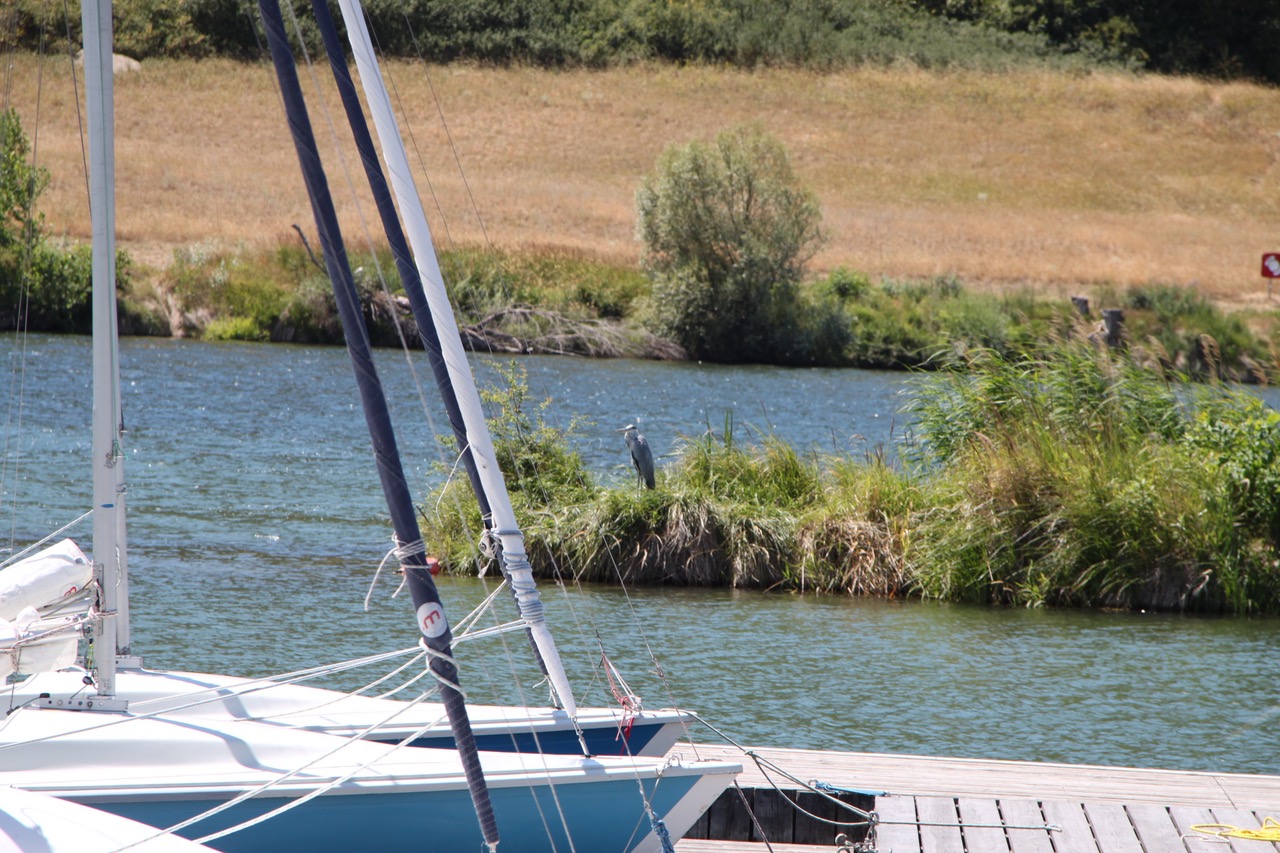 Segeln